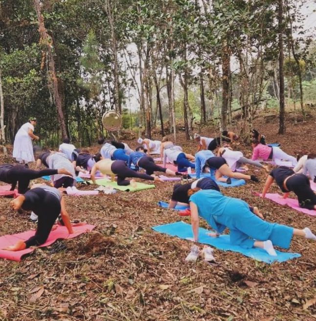 Yoga & Meditation at Alterra